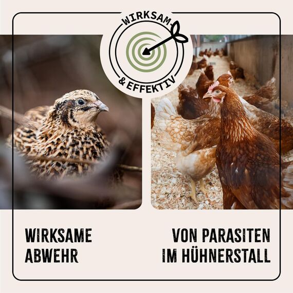 AniForte Milbenspray Hühner & Geflügel 500ml - gegen Milben & Parasiten, Milben Stop, Milbenmittel als Umgebungsspray & Kontaktspray, zur Vorbeugung & bei akutem Befall