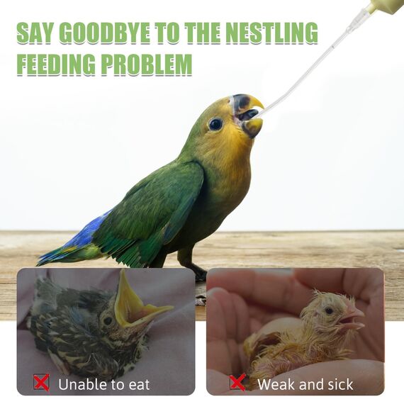 10 Stück Jungvögel Füttern Schlauch, Enthält eine 20-ml-Spritze, Tauben Zubehör, Feeder Futter, Handfütterungswerkzeug für Baby Vögel und Papageien, Milch, Wasser, Medikamente, Einfach zu Reinigen