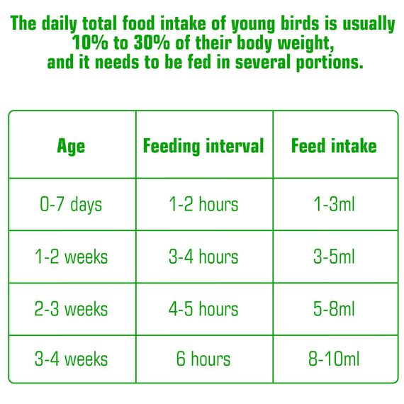 15 Stück Jungvögel Füttern Schlauch, Spritzen mit Schlauch Vogel Zubehör Aufziehspritze Tauben Feeder Handfütterungswerkzeug Milch Wasser Ernährungssonde für Baby Vögel und Papageien（2,5+ 5+ 10ml）