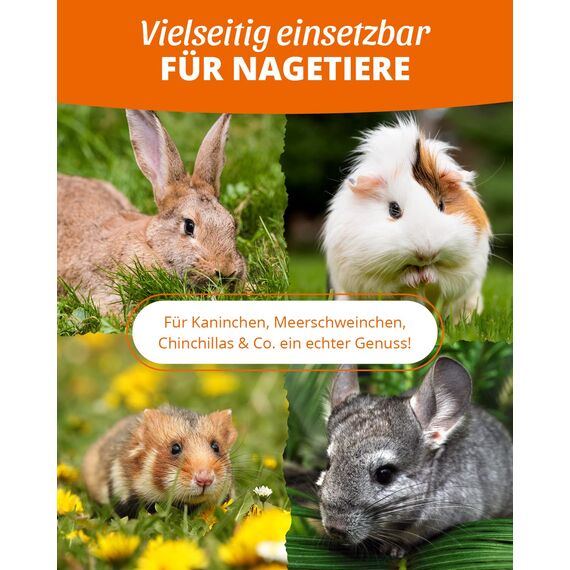 petifool Kräuter Oase 370g - Ergänzungsfutter für Nager - natürliches Nagerfutter für Kaninchen, Meerschweinchen, Hamster, Chinchilla & mehr - ohne künstliche Zusätze - 100% Natur -artgerechtes Futter