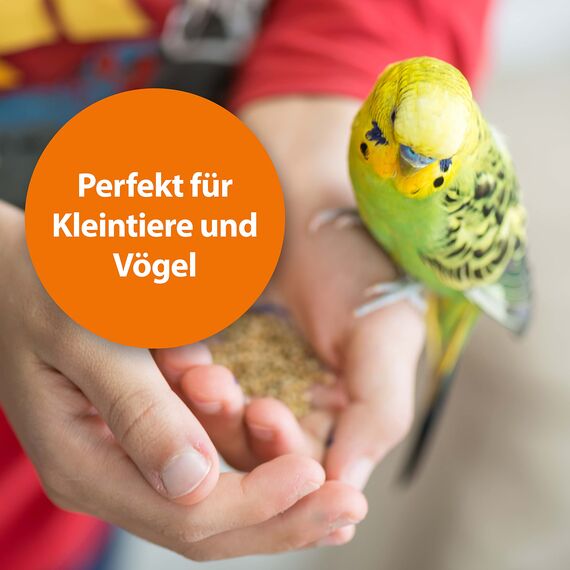 ARDAP Milben- und Zeckenspray für Nager und Vögel 100ml - Effektiver und nachhaltiger Schutz vor Milben und Zecken (PT19)