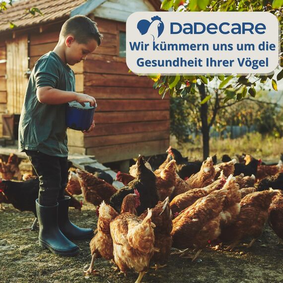 Prävention von inneren Parasiten 250ml - Hühner, Geflügel und exotisches Geflügel - Vorbeugung und Behandlung von Verdauungsproblemen - Natürliche Formel - Knoblauch- und Oreganoextrakt - Inncare