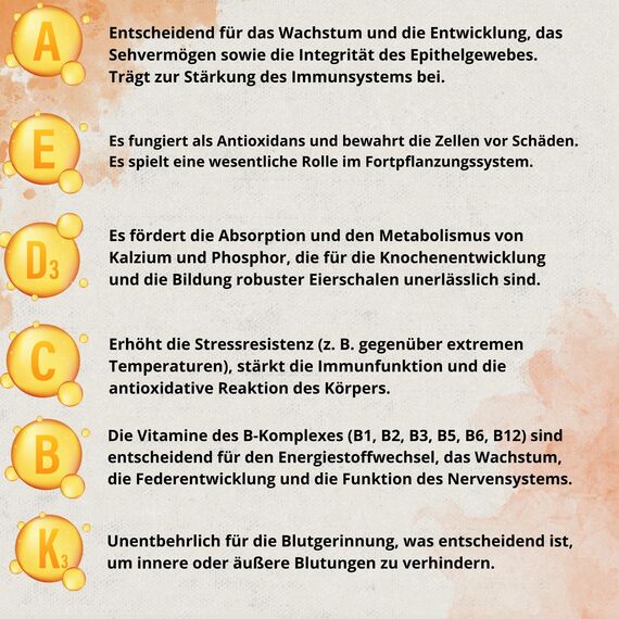 Hühner Vitamine 6-in-1 250ml | Vitamin A-E-D-C-K-B für Hühner Winter & Mauserhilfe | Ergänzendes Futter für Hühner, Küken und Exoten | Vitamin ADEC + mit Dosierer