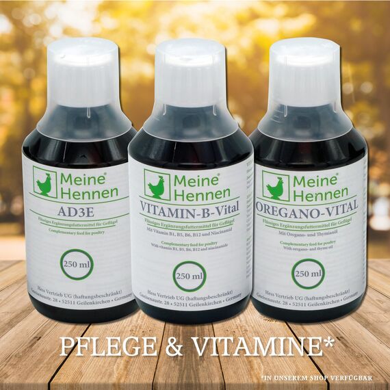 MeineHennen Bronchi-VITAL 250ml - Ergänzungsfuttermittel für Hühner & Wachteln - Support für Atemwege (z.B. nach Hühnerschnupfen) - Mit Echinacea, Eukalyptus & Vitamin B - Konzentrat für 50L Wasser