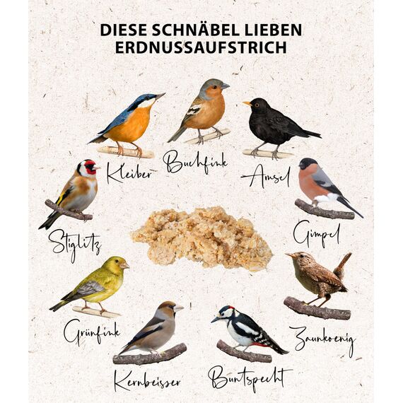 Dehner Natura Premium Wildvogelfutter, Erdnuss-Aufstrich, Erdnussbutter im Eimer, Ganzjahresfutter energiereich, hochwertiges Vogelfutter für Wildvögel, 2 kg