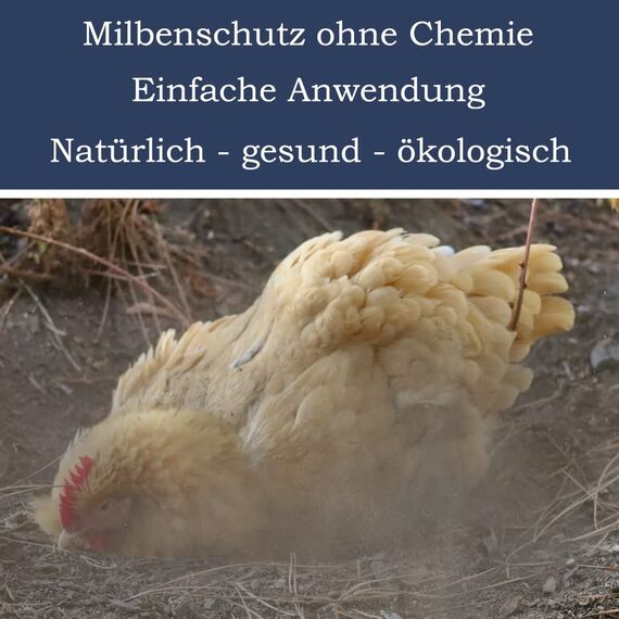 Petigi Urgesteinsmehl, Geflügeleinstreu Staubbad Sandbad, Steinmehl für Hühner und Wachteln, Badesand Pulver für Hühnerstall und Hühnergehege