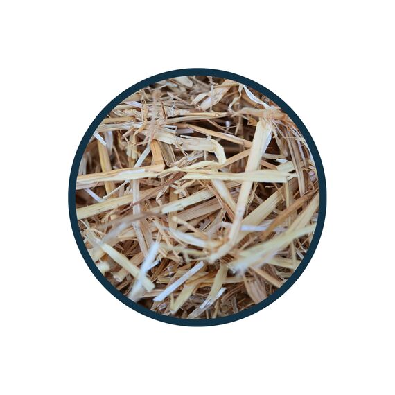 Anibest Naturstroh, Kleintierstreu, 100 % natürliche Einstreu für alle Nager & Kleintiere, Kaninchen, Hamster, Meerschweinchen und Co, saugfähig, wärmeisolierend, Made in Germany, 0,8 kg