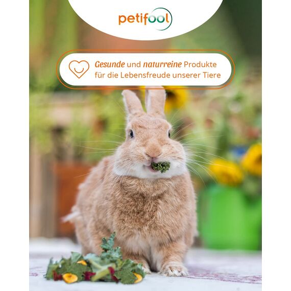 petifool Gemüsefarm 500g - Ergänzungsfutter für Nager - natürliches Nagerfutter für Kaninchen, Meerschweinchen, Hamster, Chinchilla & mehr - ohne künstliche Zusätze - 100% Natur - artgerechtes Futter