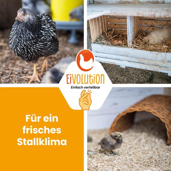 eivolution Hanfeinstreu mit Eukalyptus 14 kg - Staubfrei für Hühner & Pferde - Hochsaugfähig Nachhaltig