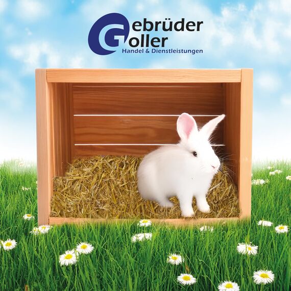 Gebrüder Goller - 10kg Strohballen - für Kaninchen, Meerschweinchen, Hamster und Hasen, auch geeignet als Deko-Stroh, Ballen Direkt aus Bayern