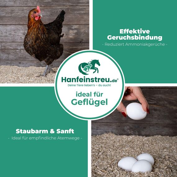 Hanfeinstreu für Kleintiere, Hühner und Pferde, 140 Liter, 100% Naturprodukt, Extrem Saugfähig, Staubarm, Geruchsbindend, Nachhaltig und Langlebig