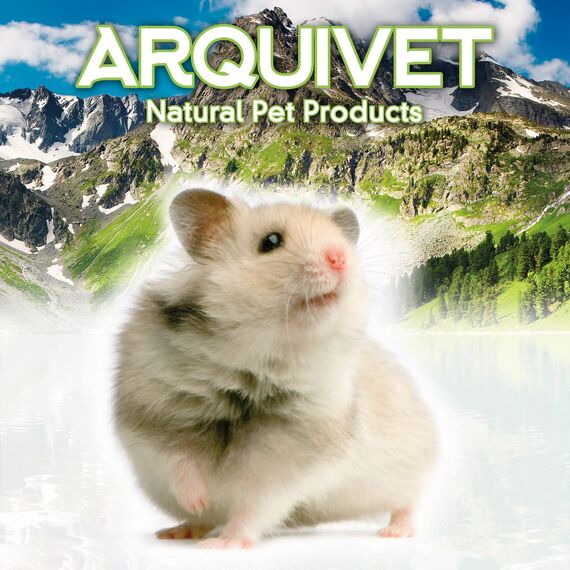 Arquivet 8435117803022 – Baumwolle für Hamsters weiß 30 gr