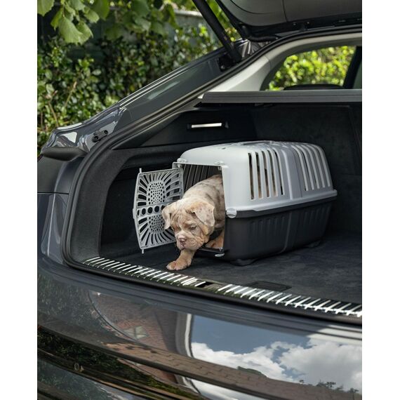 lionto Hundetransportbox aus robustem recyceltem Kunststoff, 55x36x36 cm, Transportbox mit praktischem Schließsystem & Tragegriff, auch geeignet für Katzen & Kleintiere, für Haustiere bis 15kg grau