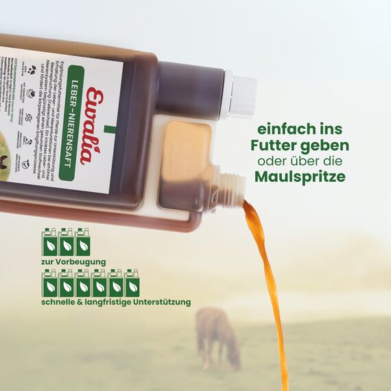 EWALIA Leber-Nierensaft | 1 l | Ergänzungsfuttermittel für Pferde | Mit abgestimmten Kräutern