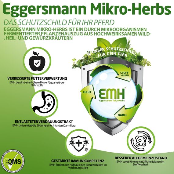 Eggersmann EMH Cool Müsli 20kg – Eiweißreduziertes Pferdemüsli Haferfrei – Zusatzfutter für Pferde und Ponys - Natürliches Pferdefutter