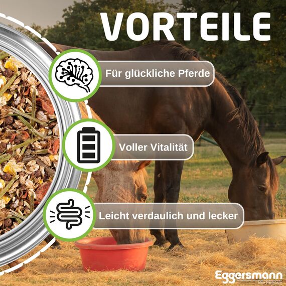 Eggersmann Frucht Müsli 20 kg – Eiweißreduziertes Pferdemüsli – Zusatzfutter mit hohem Gehalt an Fruchttrestern – Natürliches Eggersmann Pferdefutter