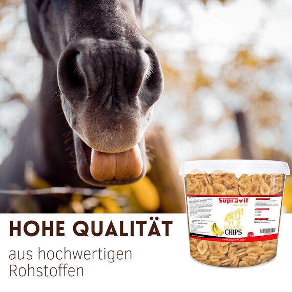 Supravit Bananenchips für Pferde – 2kg Eimer – knusprige Bananenscheiben aus 100% echten Bananen – appetitanregendes Ergänzungsfuttermittel – ideales Pferdeleckerli