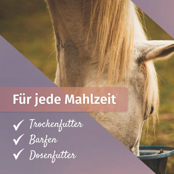 Martenbrown® Mariendistelsamen 2,5 kg für Pferde, Hunde & Katzen - ganze Mariendistel Samen ohne Zusatzstoffe - 100% Naturprodukt