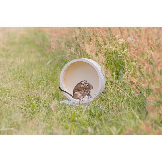 Karlie Wonderland Bogie Wheel Laufrad, für Nager, ø: 30 cm