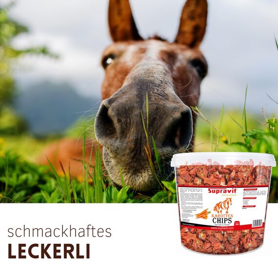 Supravit Karottenchips - 2kg Eimer leicht bekömmliche Möhrenchips - getrocknete Karottenchips für Pferde - schmackhafte Pferde Leckerlis und Ergänzungsfutter