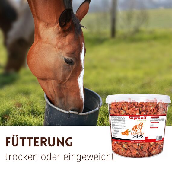 Supravit Karottenchips - 2kg Eimer leicht bekömmliche Möhrenchips - getrocknete Karottenchips für Pferde - schmackhafte Pferde Leckerlis und Ergänzungsfutter