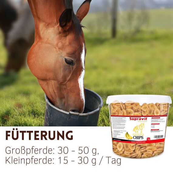 Supravit Bananenchips für Pferde – 2kg Eimer – knusprige Bananenscheiben aus 100% echten Bananen – appetitanregendes Ergänzungsfuttermittel – ideales Pferdeleckerli