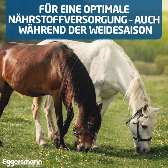 Eggersmann Mein Pferdefutter Mineral Bricks 25 kg - Mineralfutter für Pferde - Pferdefutter mit Mineralstoffen & Vitaminen zur Unterstützung des Stoffwechsels - Mit Knoblauchzusatz zur Fliegenabwehr