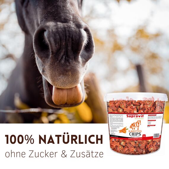 Supravit Karottenchips - 2kg Eimer leicht bekömmliche Möhrenchips - getrocknete Karottenchips für Pferde - schmackhafte Pferde Leckerlis und Ergänzungsfutter