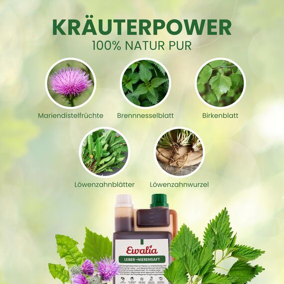 EWALIA Leber-Nierensaft | 1 l | Ergänzungsfuttermittel für Pferde | Mit abgestimmten Kräutern