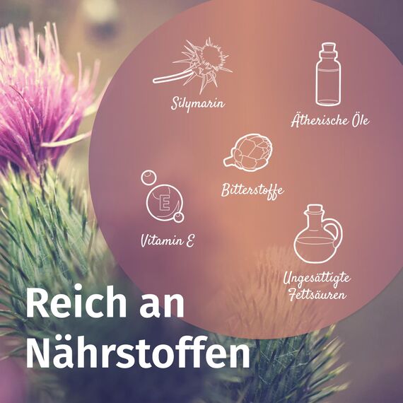 Martenbrown® Mariendistelsamen 2,5 kg für Pferde, Hunde & Katzen - ganze Mariendistel Samen ohne Zusatzstoffe - 100% Naturprodukt