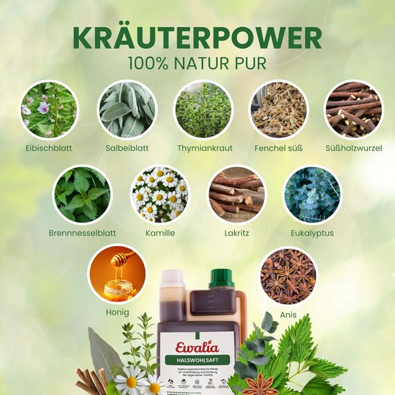 EWALIA Halswohlsaft | Doppelpack | 2 x 1 l | Ergänzungsfuttermittel für Pferde | Mit Thymiankraut & Eibisch