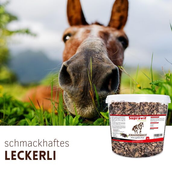 Supravit Johannisbrot 2kg – naturreines Carob Pferdefutter | getrocknete Johannisbrot-Schoten als Futterergänzung & Pferdeleckerli | ballaststoffreicher Pferdesnack für eine artgerechte Fütterung