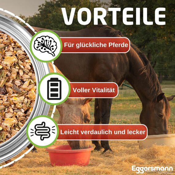 Eggersmann EMH Senior Müsli 20 kg Sack – Pferdemüsli für alte Pferde – Zur Vorbeugung von Substanzverlusten mit Selen – Natürliches Eggersmann Pferdefutter