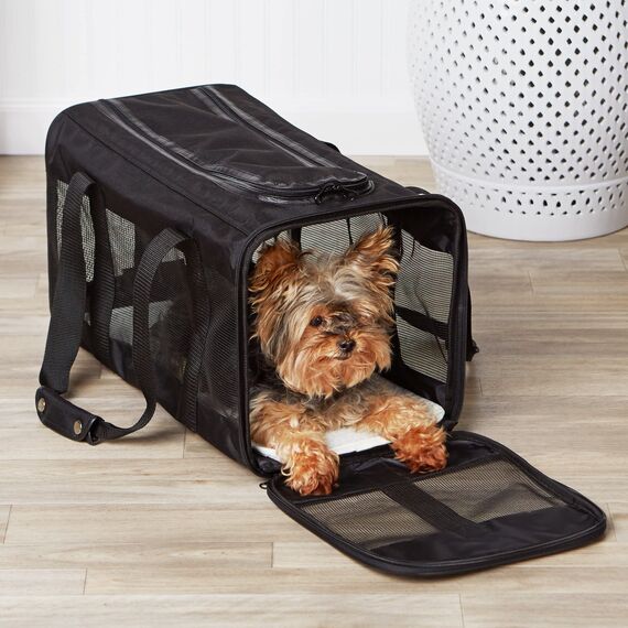 Amazon Basics Haustiertragetasche, weich für Hund, L, schwarz, L 50 x B 30.4 x H 30.4 cm