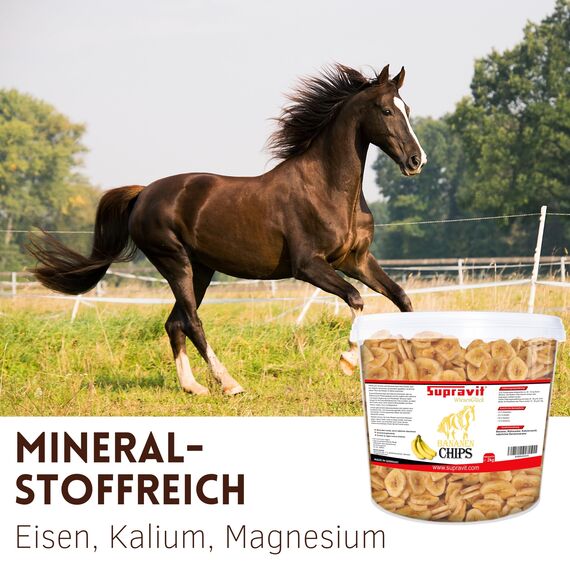 Supravit Bananenchips für Pferde – 2kg Eimer – knusprige Bananenscheiben aus 100% echten Bananen – appetitanregendes Ergänzungsfuttermittel – ideales Pferdeleckerli