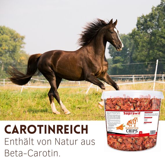 Supravit Karottenchips - 2kg Eimer leicht bekömmliche Möhrenchips - getrocknete Karottenchips für Pferde - schmackhafte Pferde Leckerlis und Ergänzungsfutter