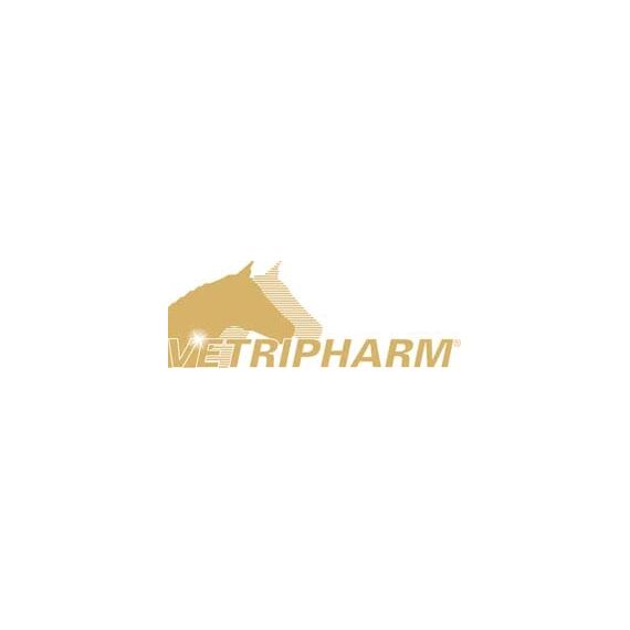 EquiPower Magnesium | 2 kg | Ergänzungsfuttermittel für Pferde | Mit Tryptophan & Vitamin B12