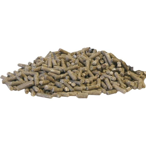 EQUIPUR - zink forte - Sicher versorgt mit organischem Zink und Selen, 1000 g Pellets in Dose