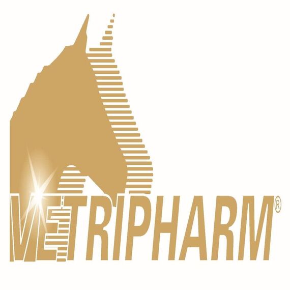 Vethripharm Selen | 2 kg | Diät-Ergänzungsfuttermittel für Pferde | Mit organisch gebundenem Selen