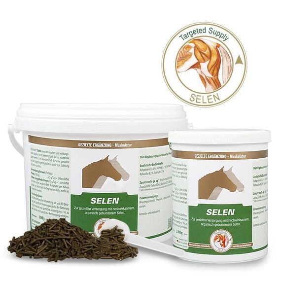 Vethripharm Selen | 2 kg | Diät-Ergänzungsfuttermittel für Pferde | Mit organisch gebundenem Selen
