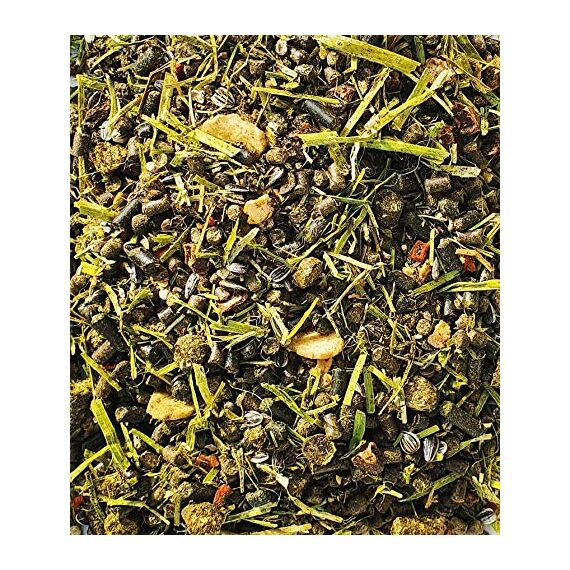 Eggersmann Mein Pferdefutter E-Vet mucOvital prebiotic getreidefrei 20 kg - Prebiotisches Müsli für magenempfindliche Pferde - Unterstüzt die Verdauung & Darmflora - Getreidefreies Ergänzungsfutter