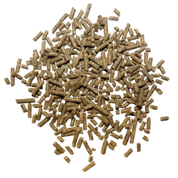 marstall Premium-Pferdefutter Force, 1er Pack (1 x 20 kilograms)