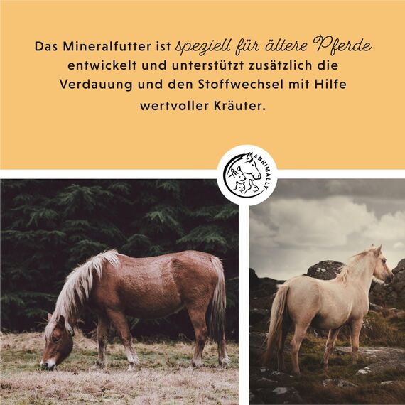Annimally Senior Mineralfutter Pferde getreidefrei 6 kg - getreidefreies Ergänzungs Pferdefutter für Senior Pferde mit Vitaminen, Mineralstoffen und Spurenelementen, wie Zink, Selen, Omega 3 & Jod