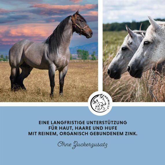 Annimally Zink für Pferde - Zink Pellets (2kg) hochdosiert mit Schwarzkümmel, Zeolith, Esparsette und Bierhefe für Haut, Haare & Hufe