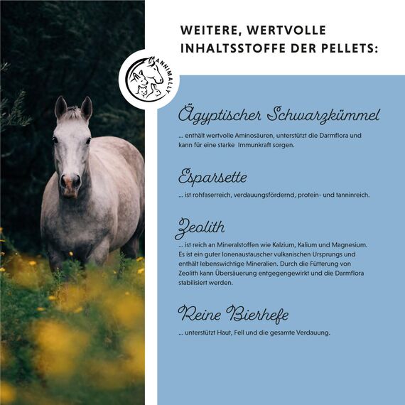 Annimally Zink für Pferde - Zink Pellets (2kg) hochdosiert mit Schwarzkümmel, Zeolith, Esparsette und Bierhefe für Haut, Haare & Hufe