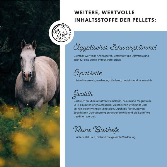 Annimally Zink für Pferde - Zink Pferd hochdosiert Pellets (700g) - Unterstützt beim Fellwechsel Pferd - Mit Schwarzkümmel, Zeolith und Bierhefe für Haut, Haare & Hufe - Spurenelemente Pferd