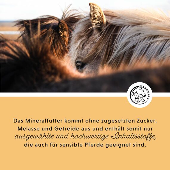 Annimally Senior Mineralfutter Pferde getreidefrei 6 kg - getreidefreies Ergänzungs Pferdefutter für Senior Pferde mit Vitaminen, Mineralstoffen und Spurenelementen, wie Zink, Selen, Omega 3 & Jod