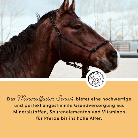Annimally Senior Mineralfutter Pferde getreidefrei - Ergänzungs Pferdefutter für Senior Pferde mit Vitaminen, Mineralstoffen und Spurenelementen, wie Zink, Selen, Omega 3 & Jod (3 kg Eimer)