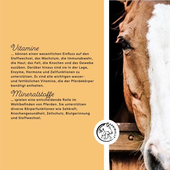 Annimally Senior Mineralfutter Pferde getreidefrei 6 kg - getreidefreies Ergänzungs Pferdefutter für Senior Pferde mit Vitaminen, Mineralstoffen und Spurenelementen, wie Zink, Selen, Omega 3 & Jod
