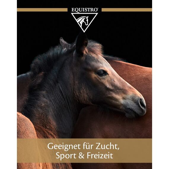 EQUISTRO® Percutin Paste | Pflegeprodukt für Pferde mit Tonerde, Arnika und Menthol | Normalisiert die Flüssigkeitsverteilung im Gewebe | Besonders wohltuend | 2.000g